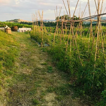 Bed & Breakfast Quattro Stagioni Gli Angeli